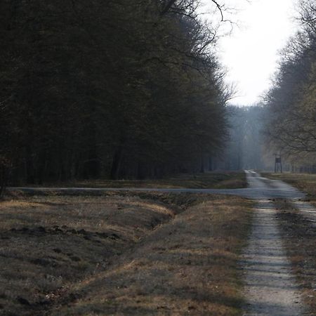 Apartmán Sobe Pilajevo 2, 183 Ulica Stjepana Radica, Gola Exteriér fotografie