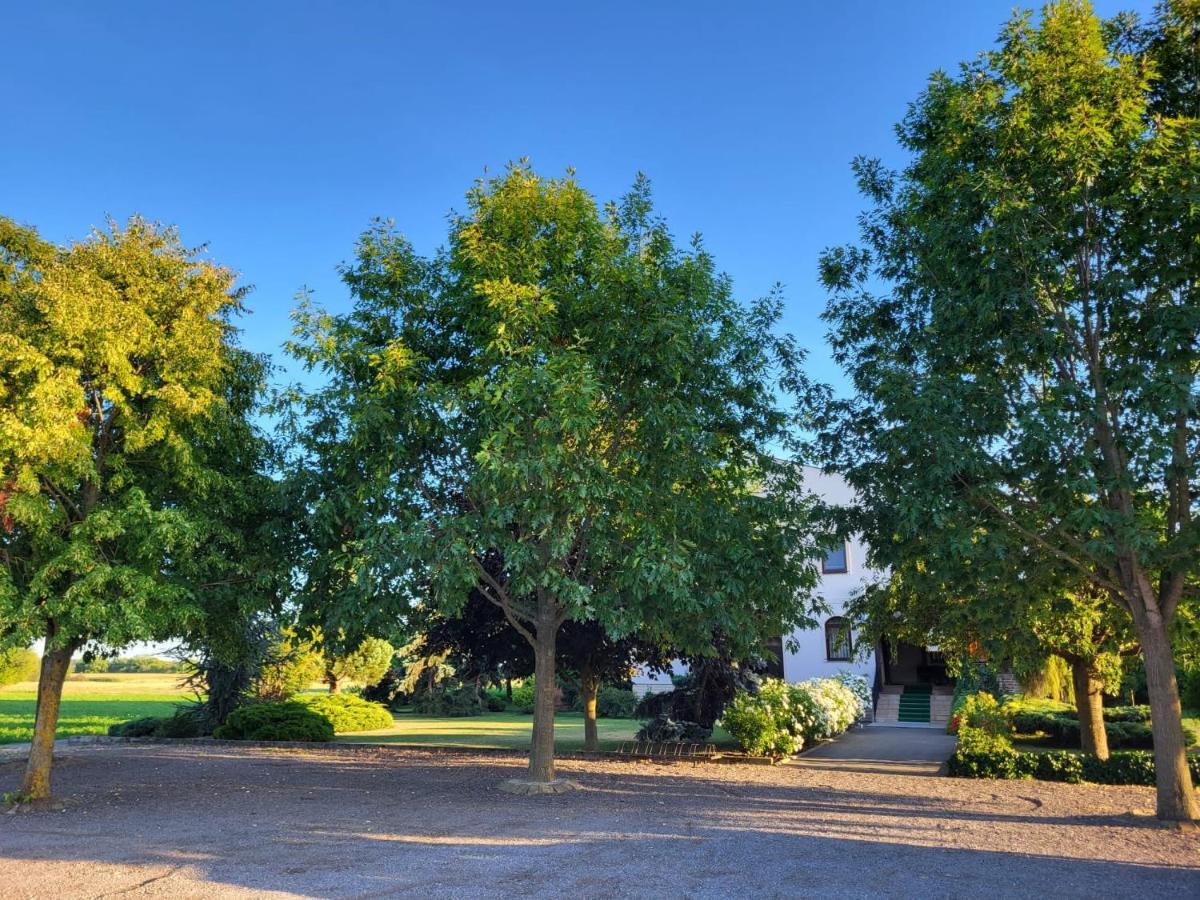 Apartmán Sobe Pilajevo 2, 183 Ulica Stjepana Radica, Gola Exteriér fotografie
