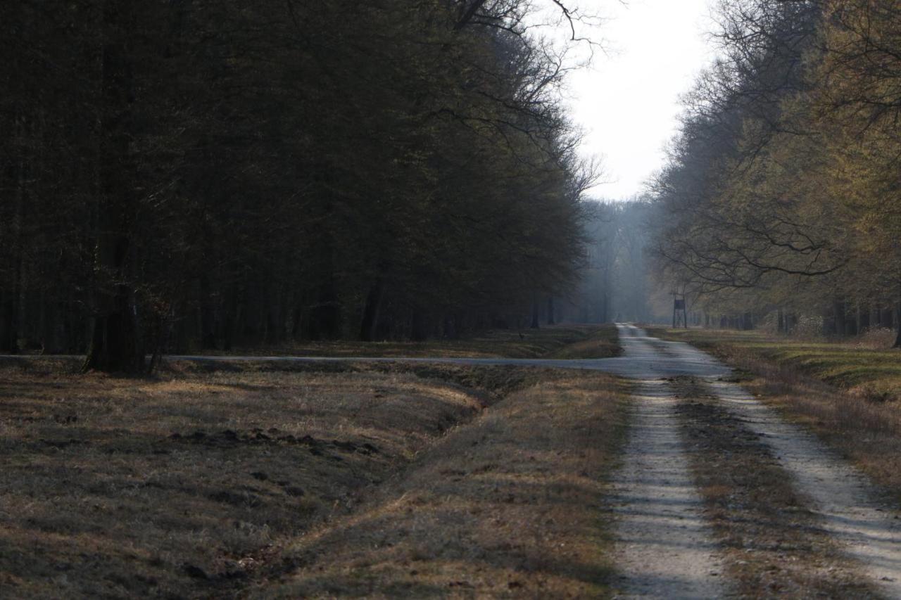 Apartmán Sobe Pilajevo 2, 183 Ulica Stjepana Radica, Gola Exteriér fotografie