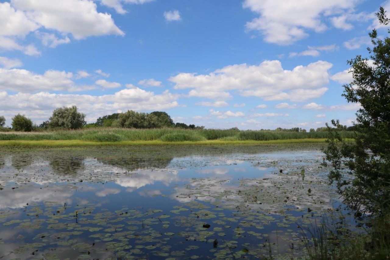 Apartmán Sobe Pilajevo 2, 183 Ulica Stjepana Radica, Gola Exteriér fotografie